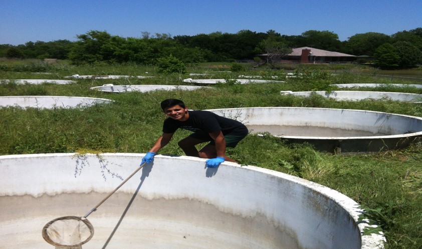 Issac with a Mosquito Pond
